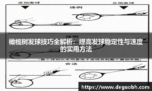 橄榄树发球技巧全解析：提高发球稳定性与速度的实用方法